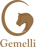 Gemelli